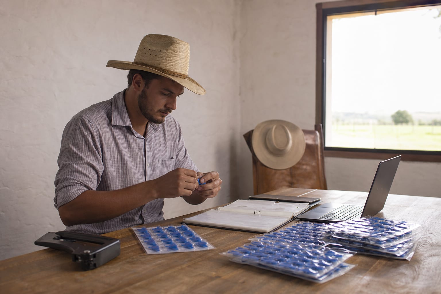 Mesa do escritório da sede da fazenda com pastas de documentos do rebanho abertas e notebook ao lado